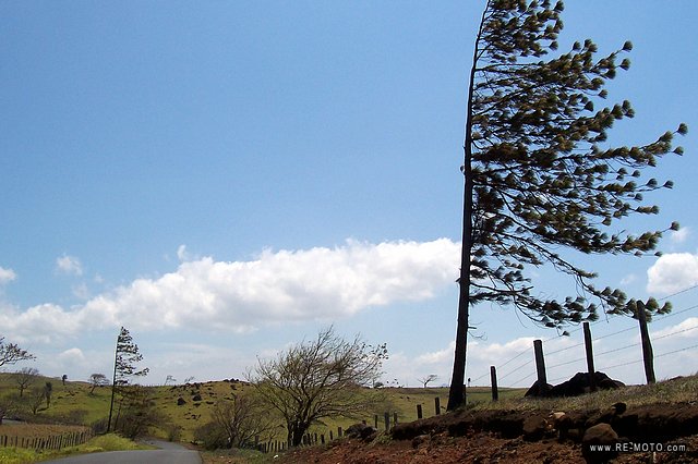 Windy landscape (near Tilar&aacute;n)