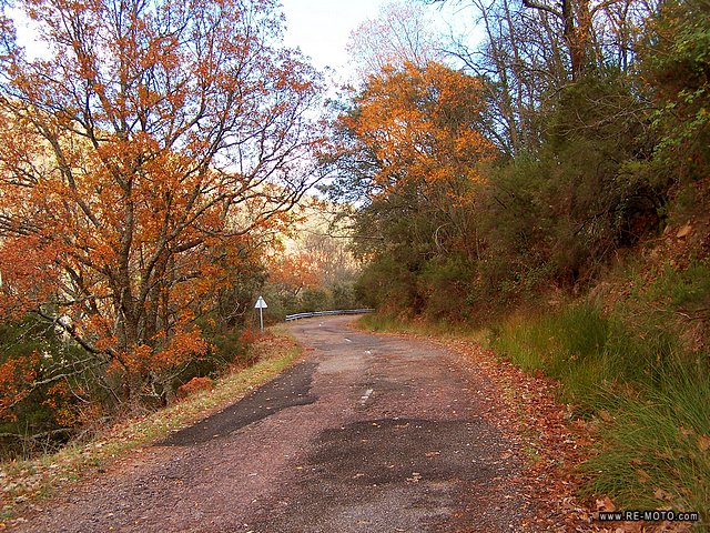 One of the best roads I have ever taken in my life runs through the <b> Caba&ntilde;eros Nature Reserve</b>.