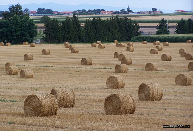 The beauty of the hay bales, despite the sinister destiny of those whom they serve as food.