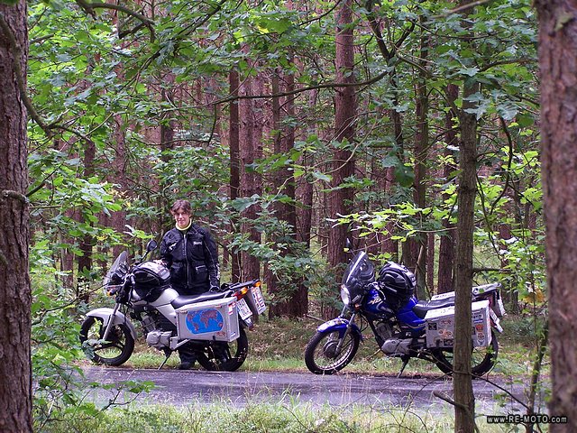 Bosques del noroeste polaco.