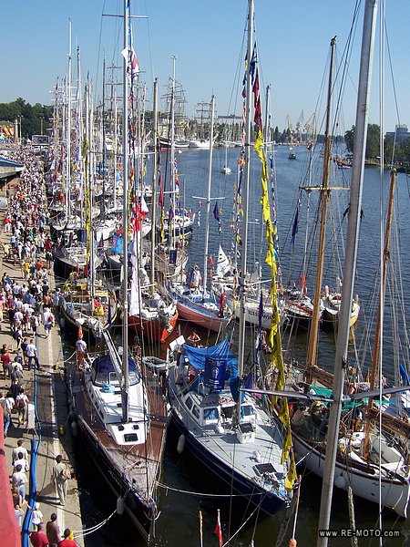 Tall Ship Races, Szczezin