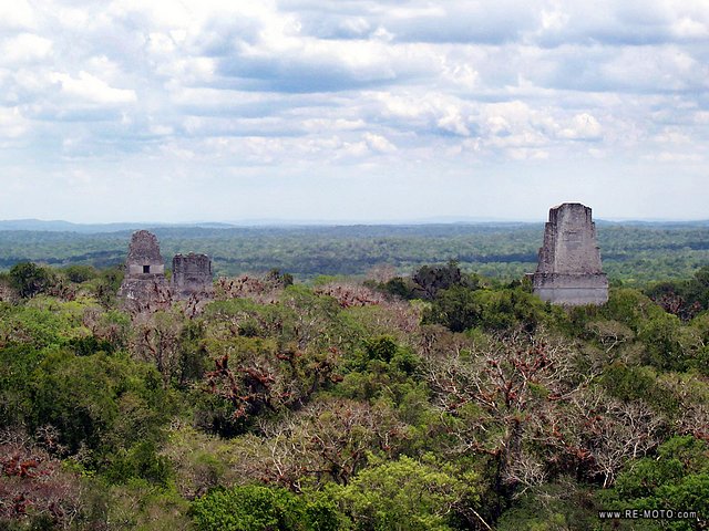 Templos en la selva - Tikal