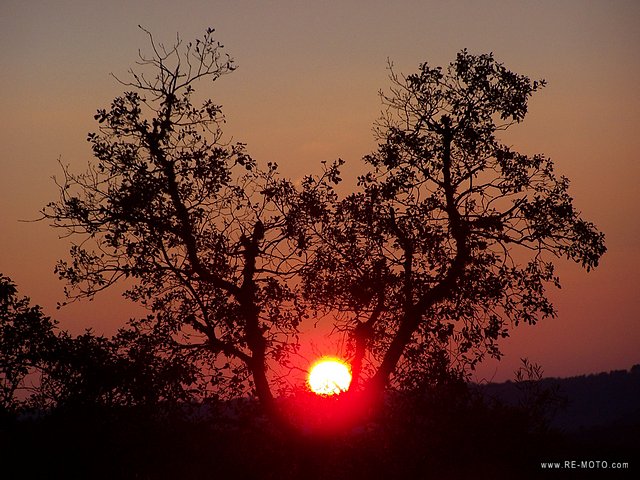 Den perfekten Winkel suchen, um einen Sonnenuntergang festzuhalten... eine meiner Lieblingsbesch&auml;ftigungen.