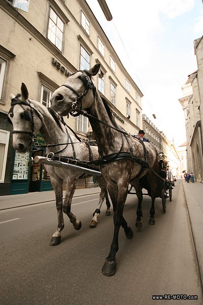 Riding in a horse-carriage in Vienna.